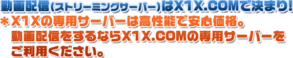 アダルト可のレンタルサーバーは海外ホスティングで出会い系OKのストリーミング配信格安