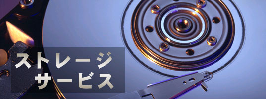格安アダルトストレージサーバーサービスをレンタルでホスティングのメインイメージ