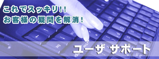 格安ホスティング安心サポートな格安帯域専用レンタルサーバーのメインイメージ