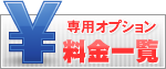 専用サーバーオプション料金一覧